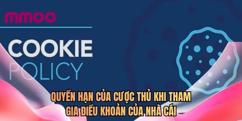 Quyền hạn của cược thủ khi tham gia điều khoản của nhà cái